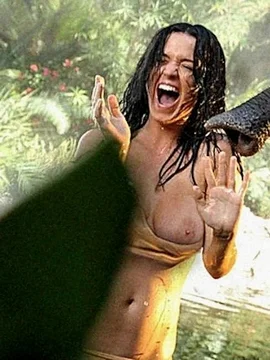 Голая Кэти Перри - 63